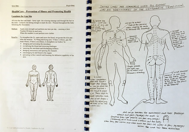 Gua Sha Day Workbook